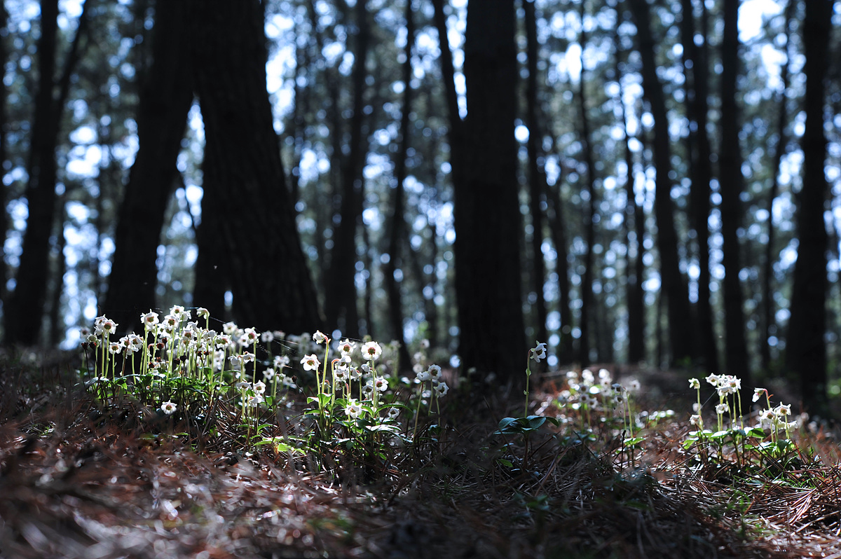 DSC_9842ss.jpg