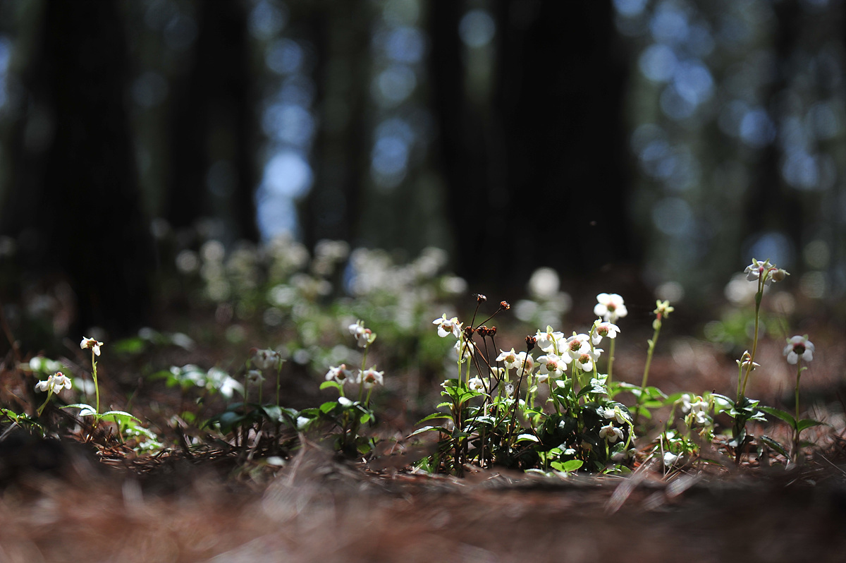 DSC_9434aa.jpg