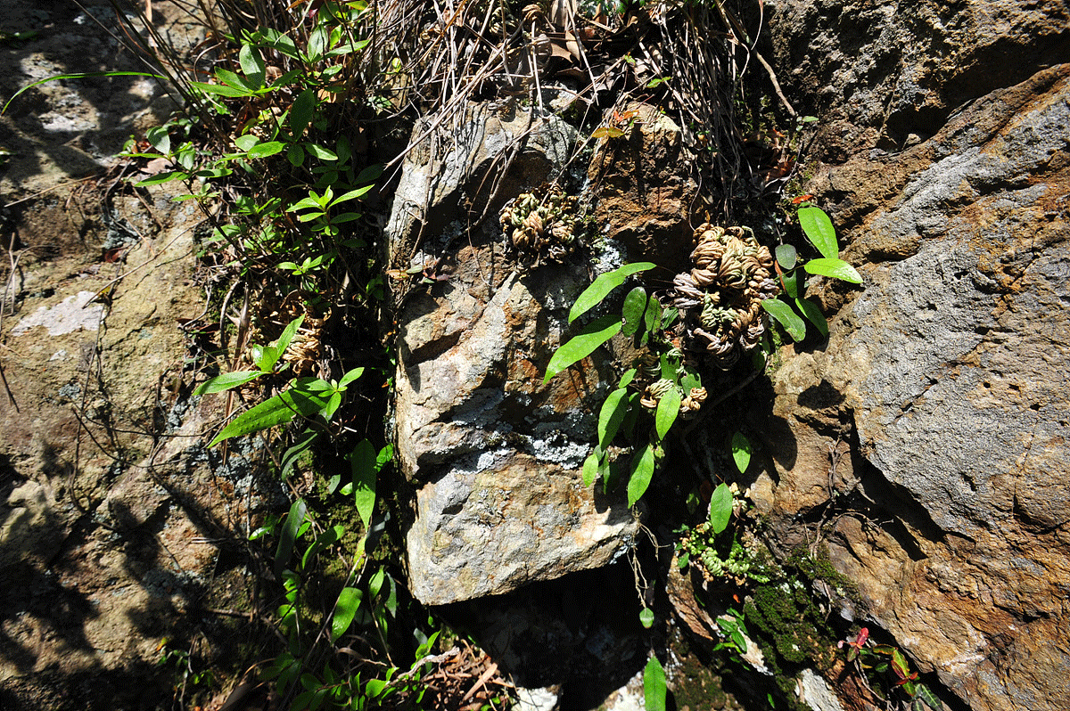 DSC_8165ddd.gif