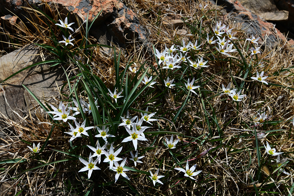 DSC_4710ss.jpg