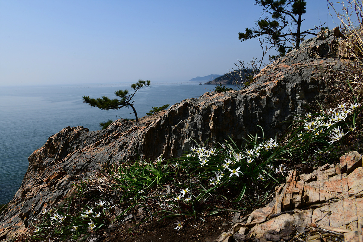 DSC_4799ccc.jpg