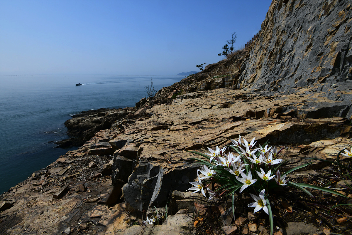 DSC_4721sss.jpg