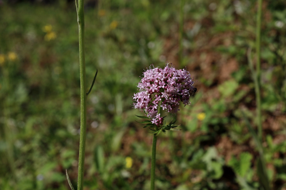 21-05-11 (114)-1.JPG