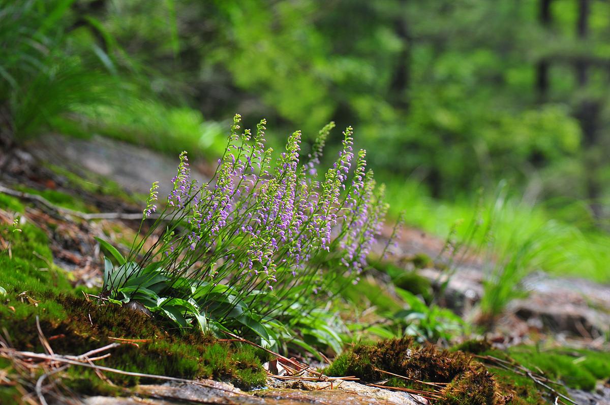 DSC_9358.jpg