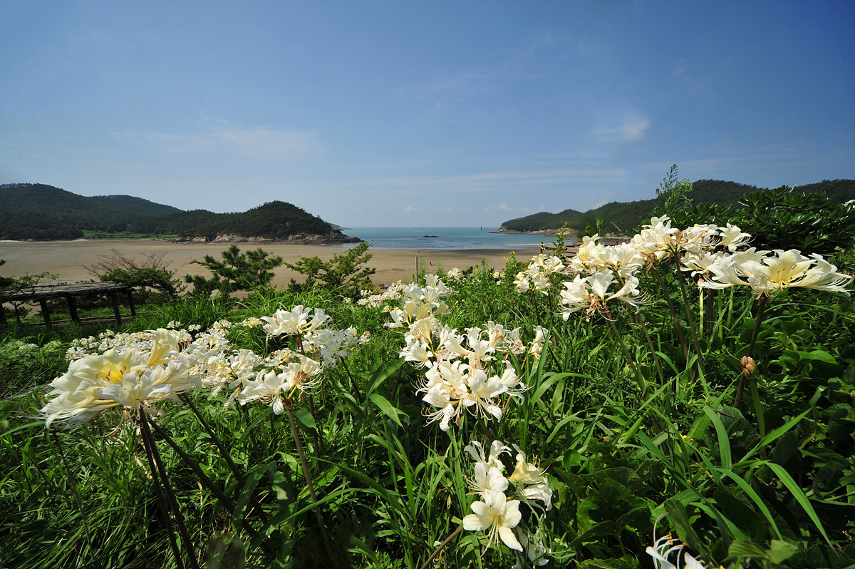 DSC_5595s.jpg