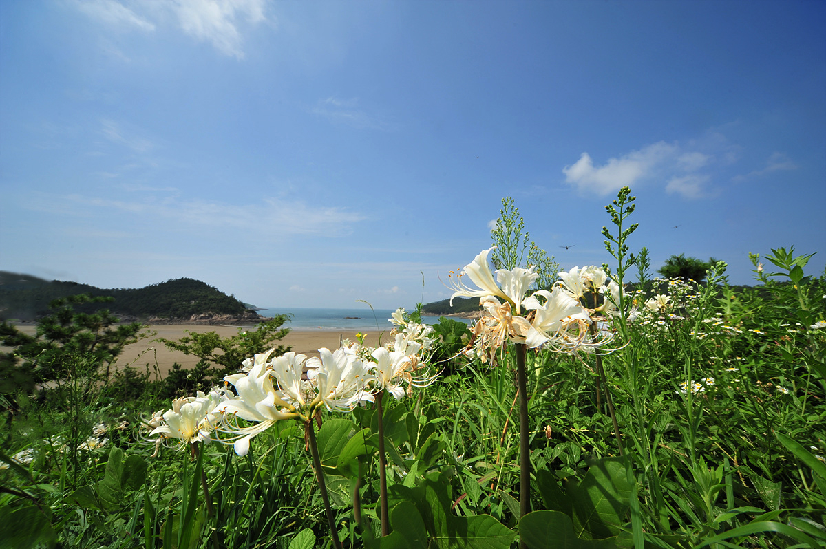 DSC_5610s.jpg