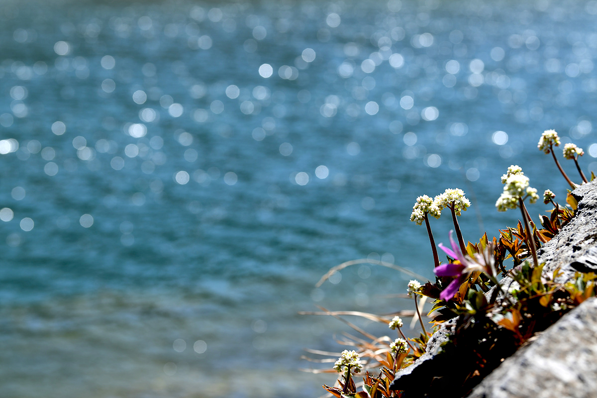 DSC_9747aaa.jpg