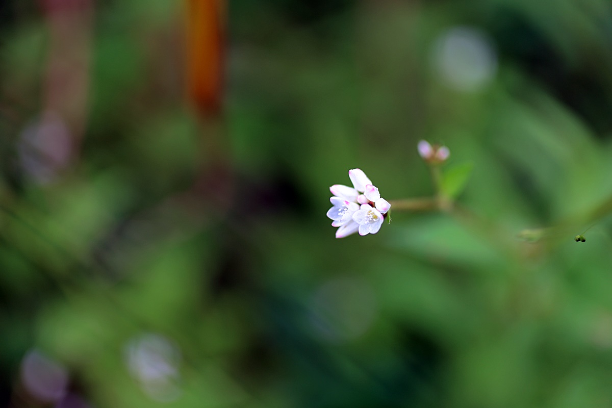 24-09-22 (152)-1.JPG