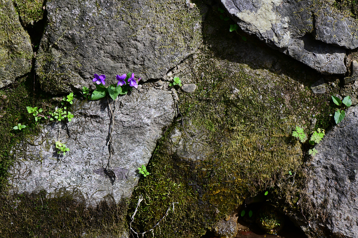 DSC_5422.jpg
