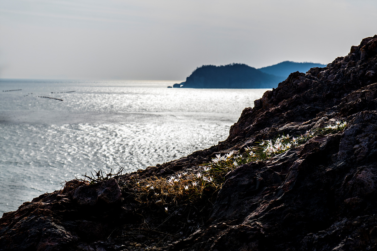 _DSC0811a.jpg