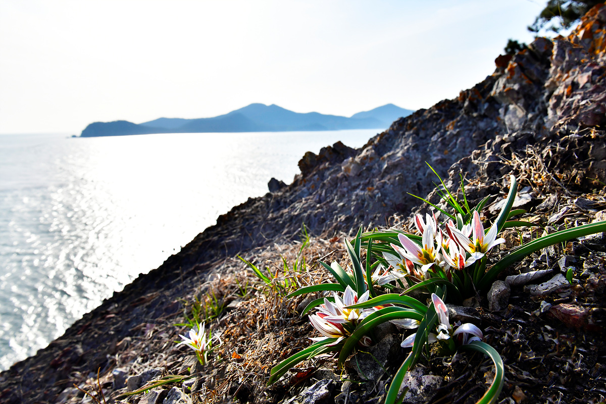 _DSC0840jp.jpg