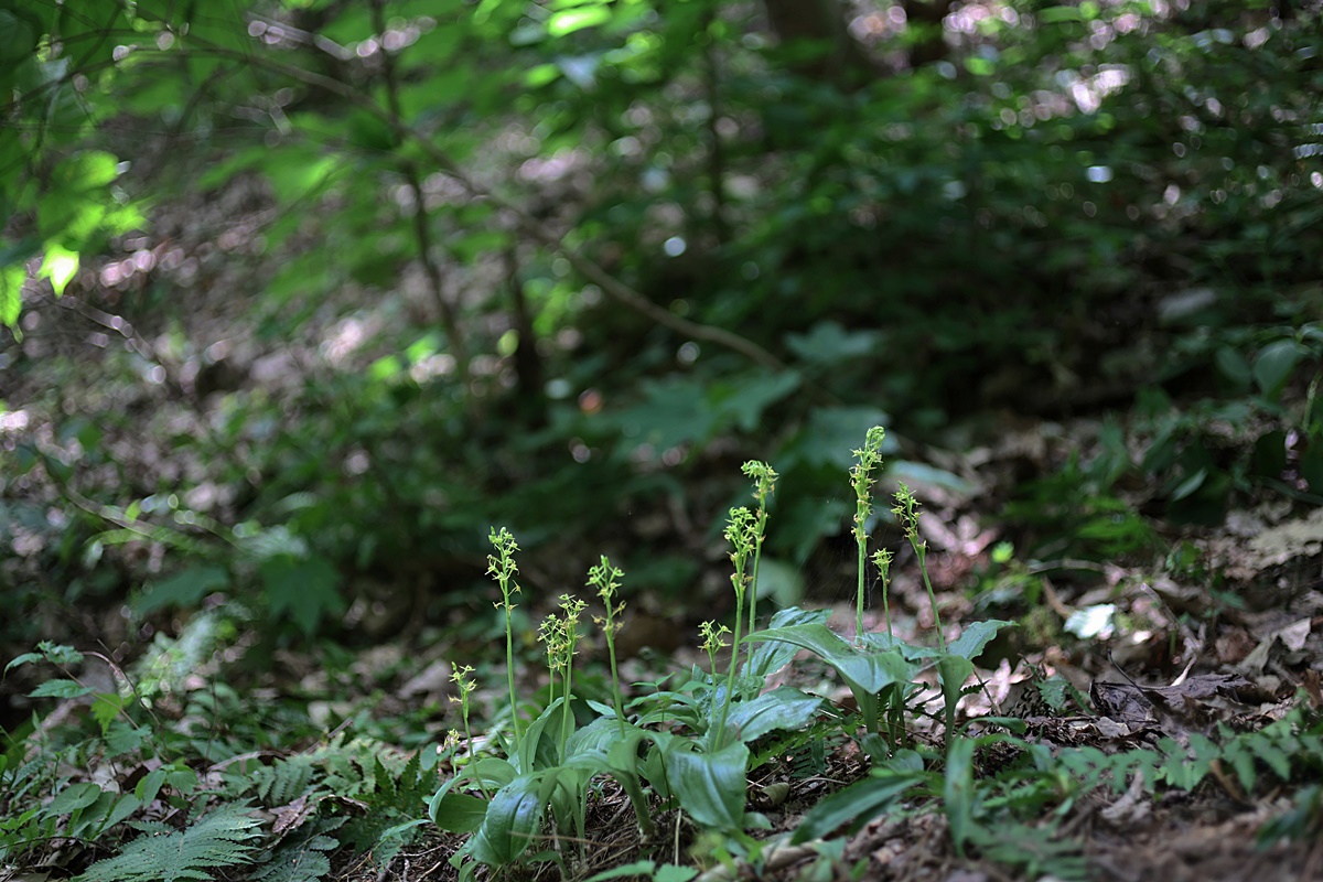 24-06-21 (110)-1.JPG