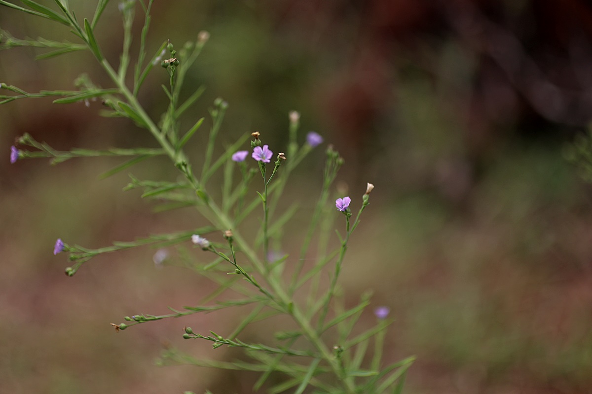 24-08-28 (103)-1.JPG