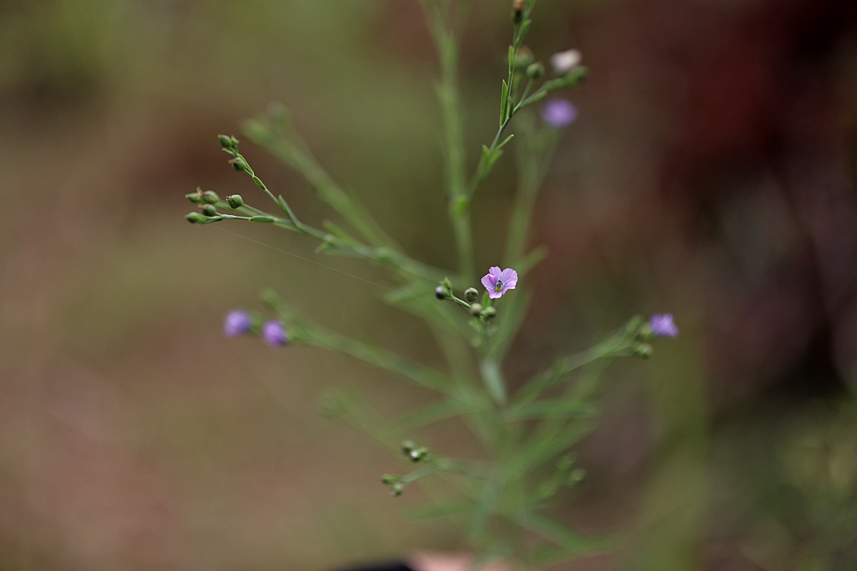 24-08-28 (110)-1.JPG