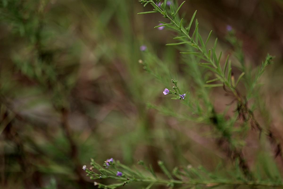 24-08-28 (29)-1.JPG