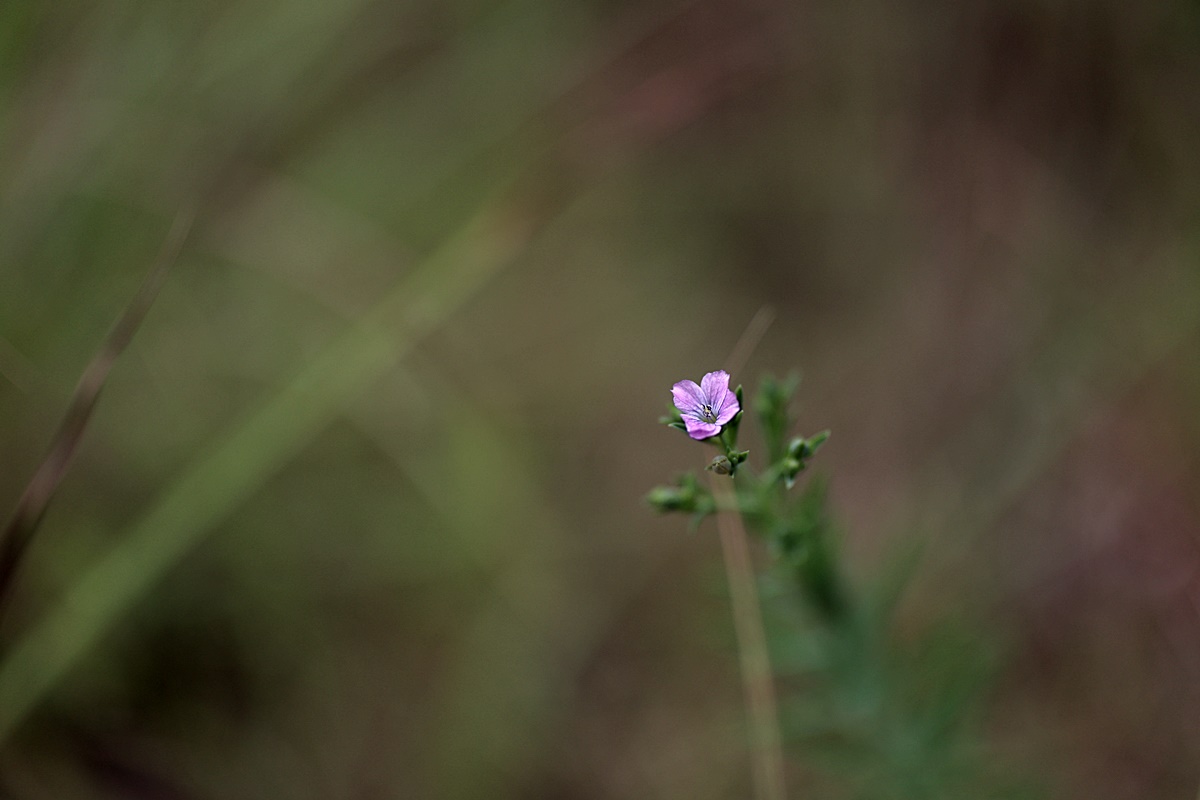 24-08-28 (115)-1.JPG