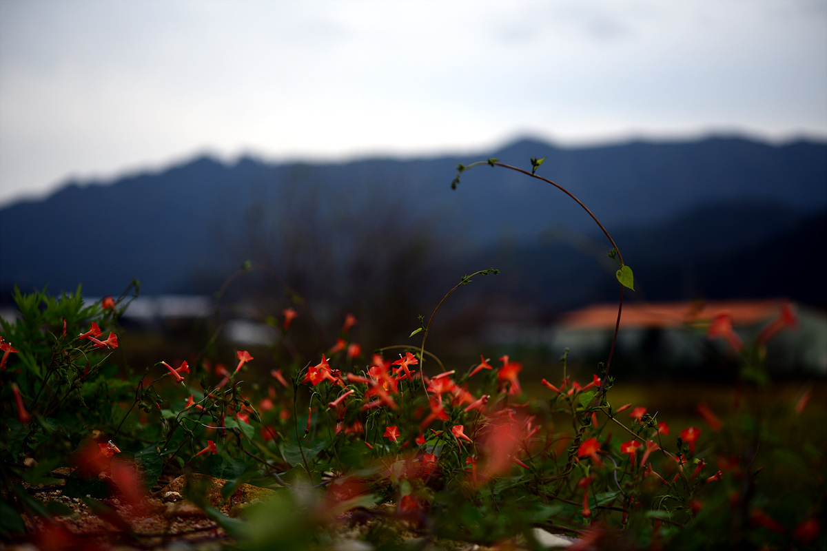 DSC_0461.jpg