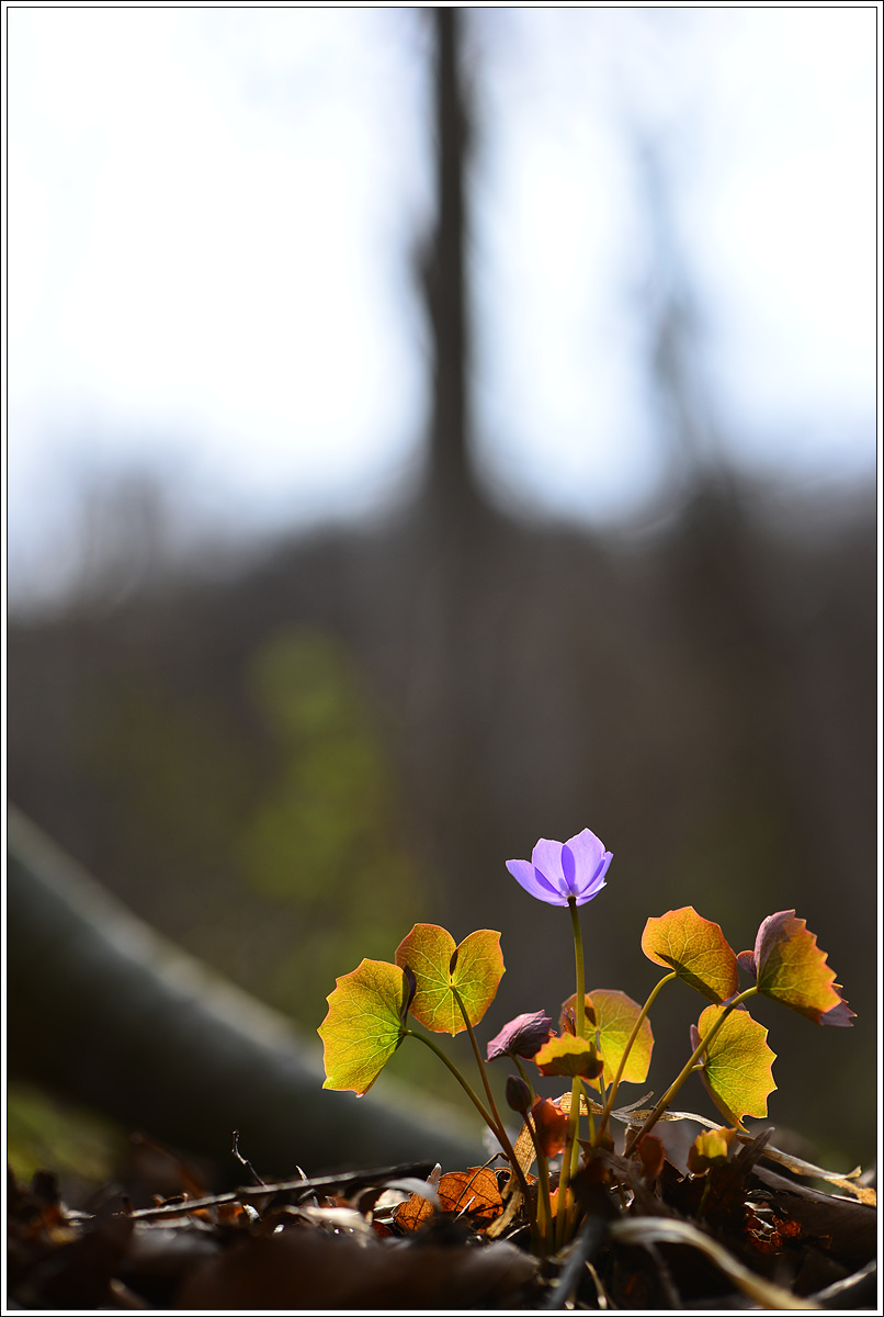 CJH_7633 완.jpg