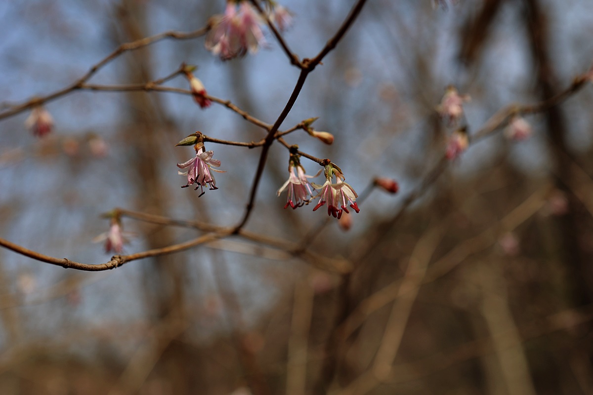 22-03-16 (198)-1.JPG