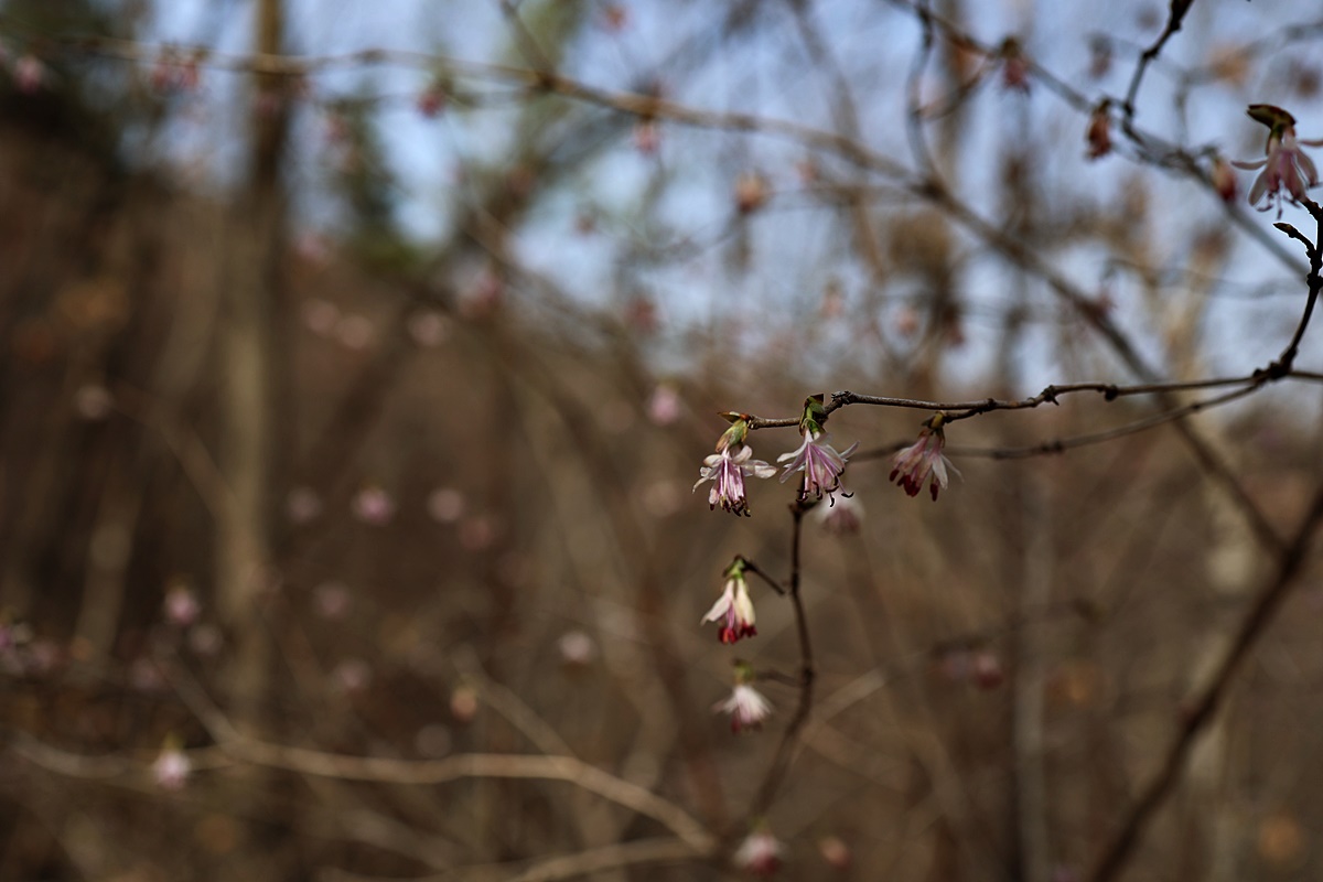 22-03-16 (195)-1.JPG