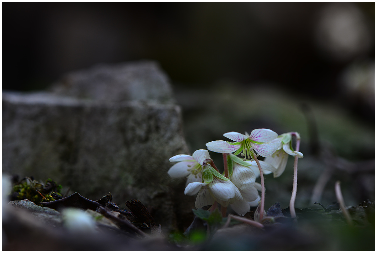 CJH_7731 완.jpg