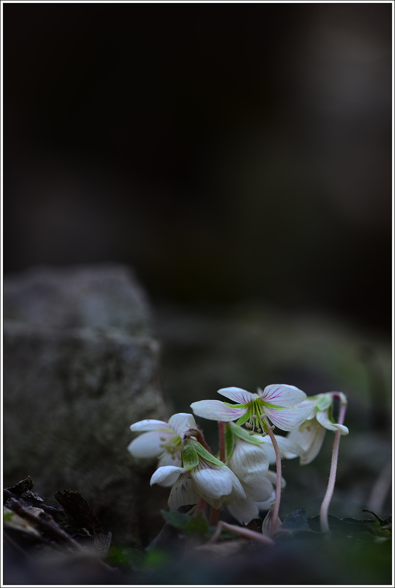 CJH_7729 완.jpg