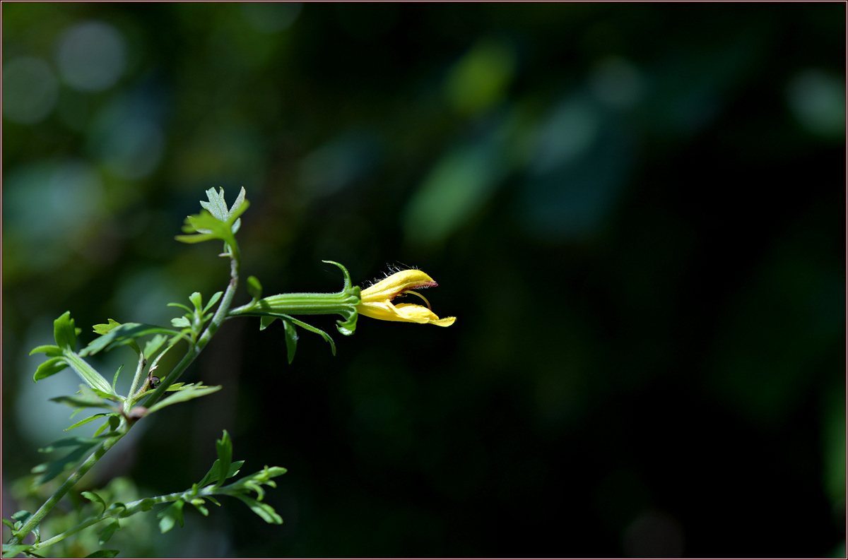 DSC_4878.jpg