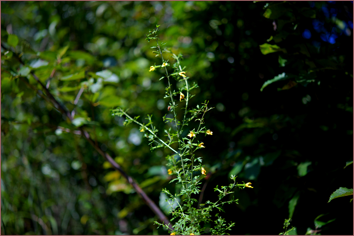 DSC_4893.jpg