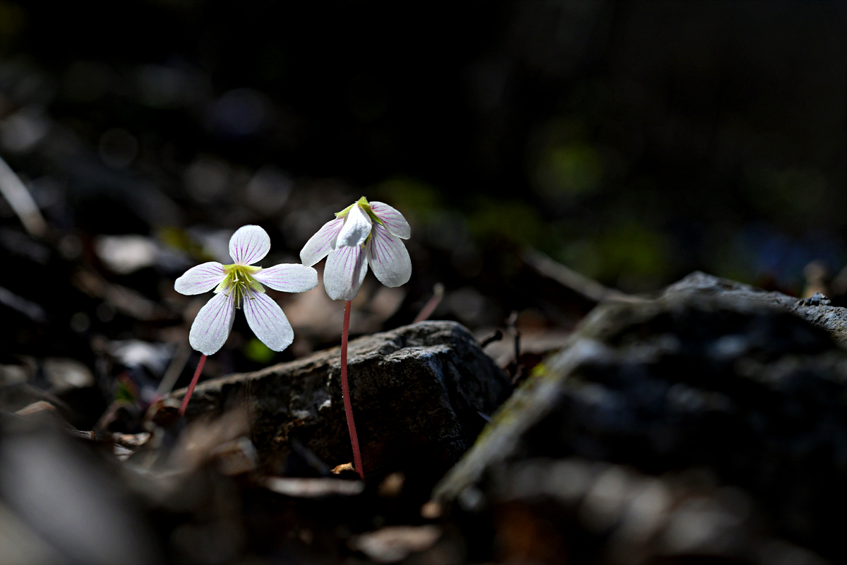 DSC_6913.jpg