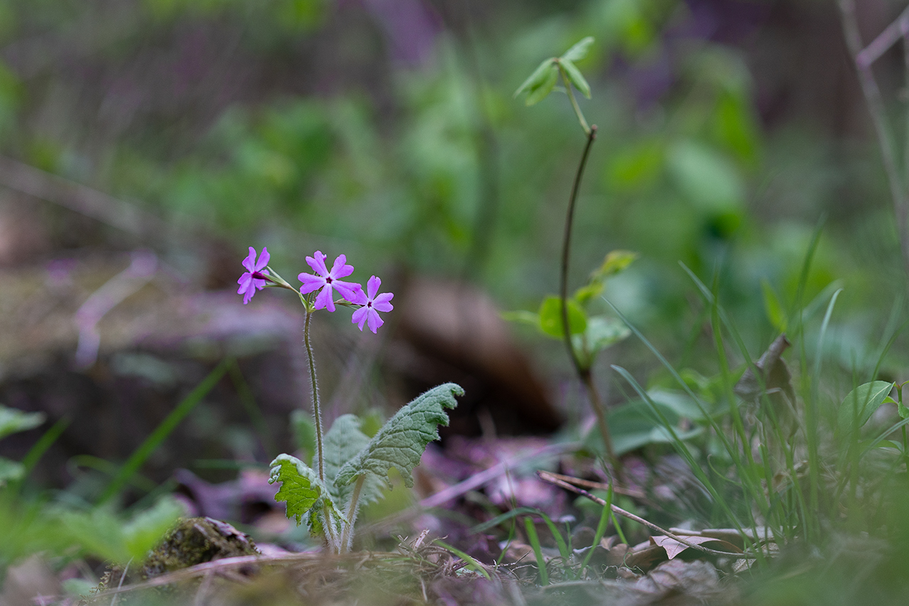 _DSC5610 복사.jpg