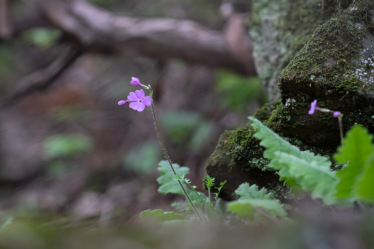 _DSC5715 복사.jpg