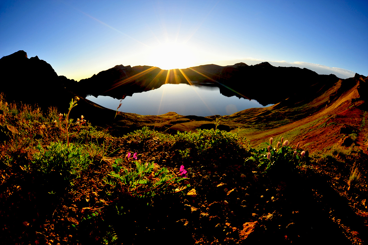 DSC_4242a.jpg