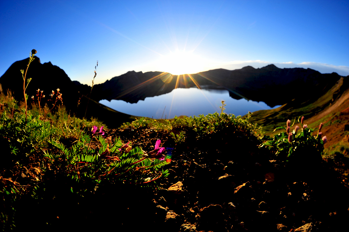 DSC_4221a.jpg