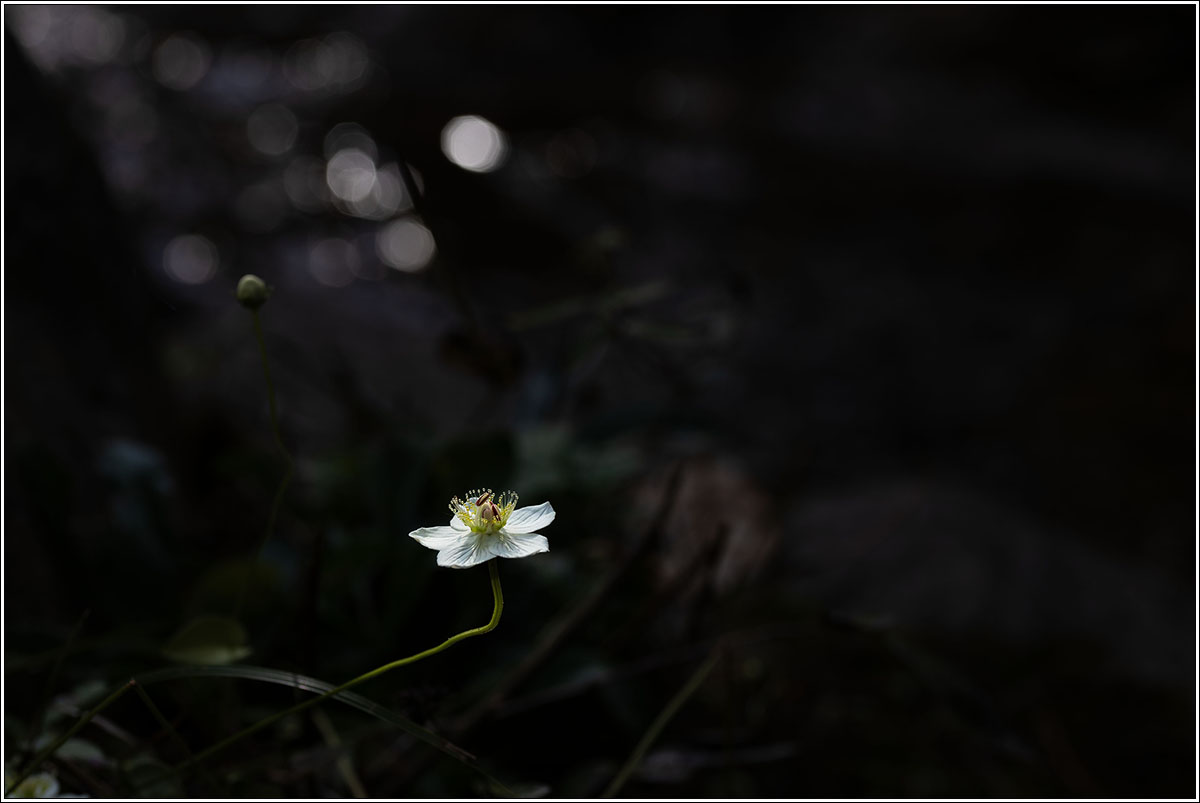 0L3A3659-12.jpg