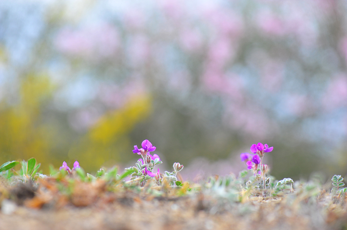 DSC_1924ss.jpg