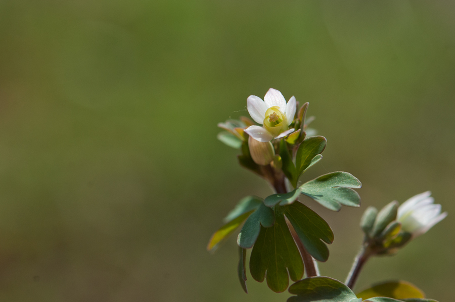 DSC_8767.jpg
