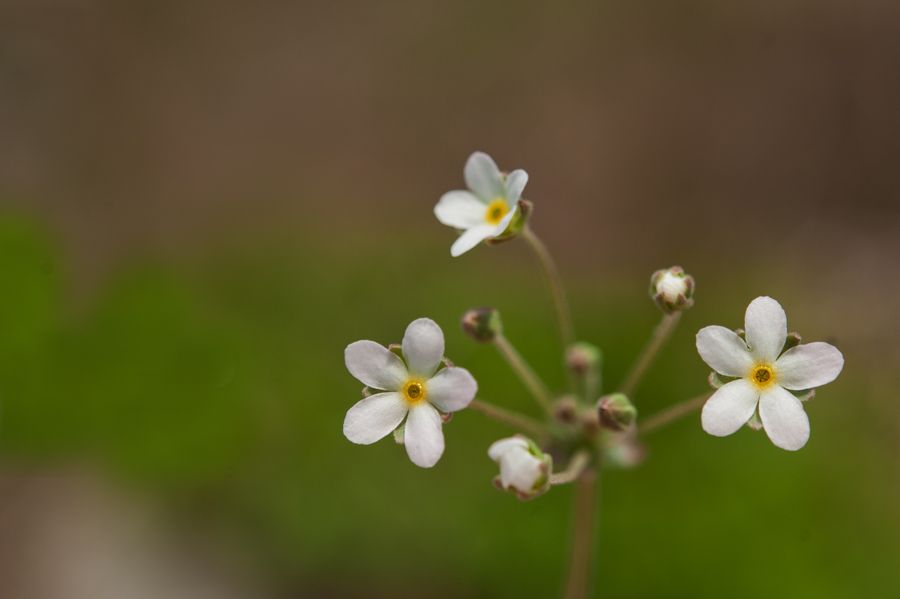 DSC_9013.jpg