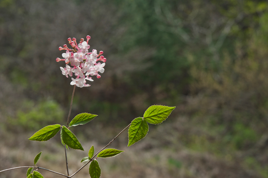 DSC_9165.jpg
