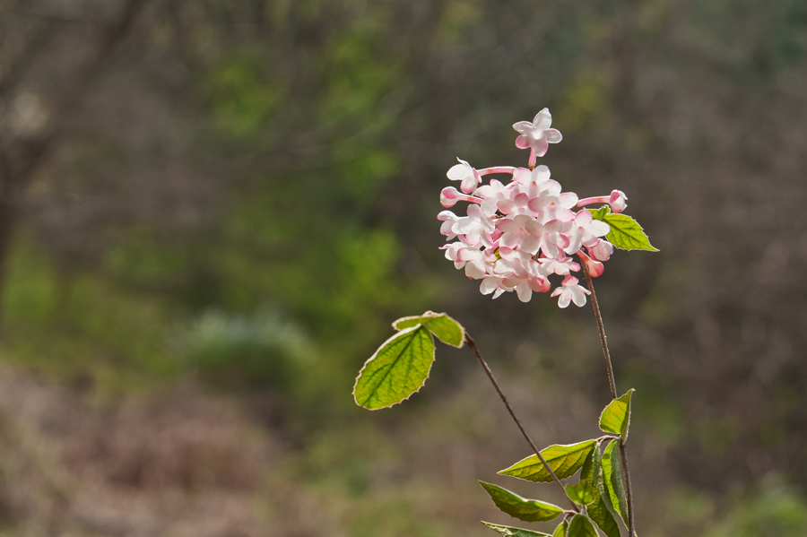 DSC_9169.jpg
