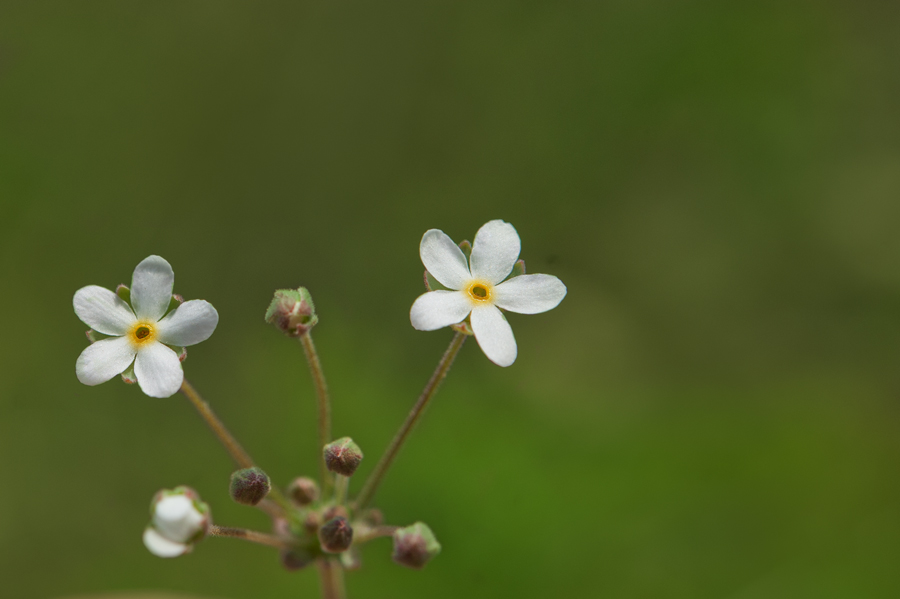DSC_9015.jpg