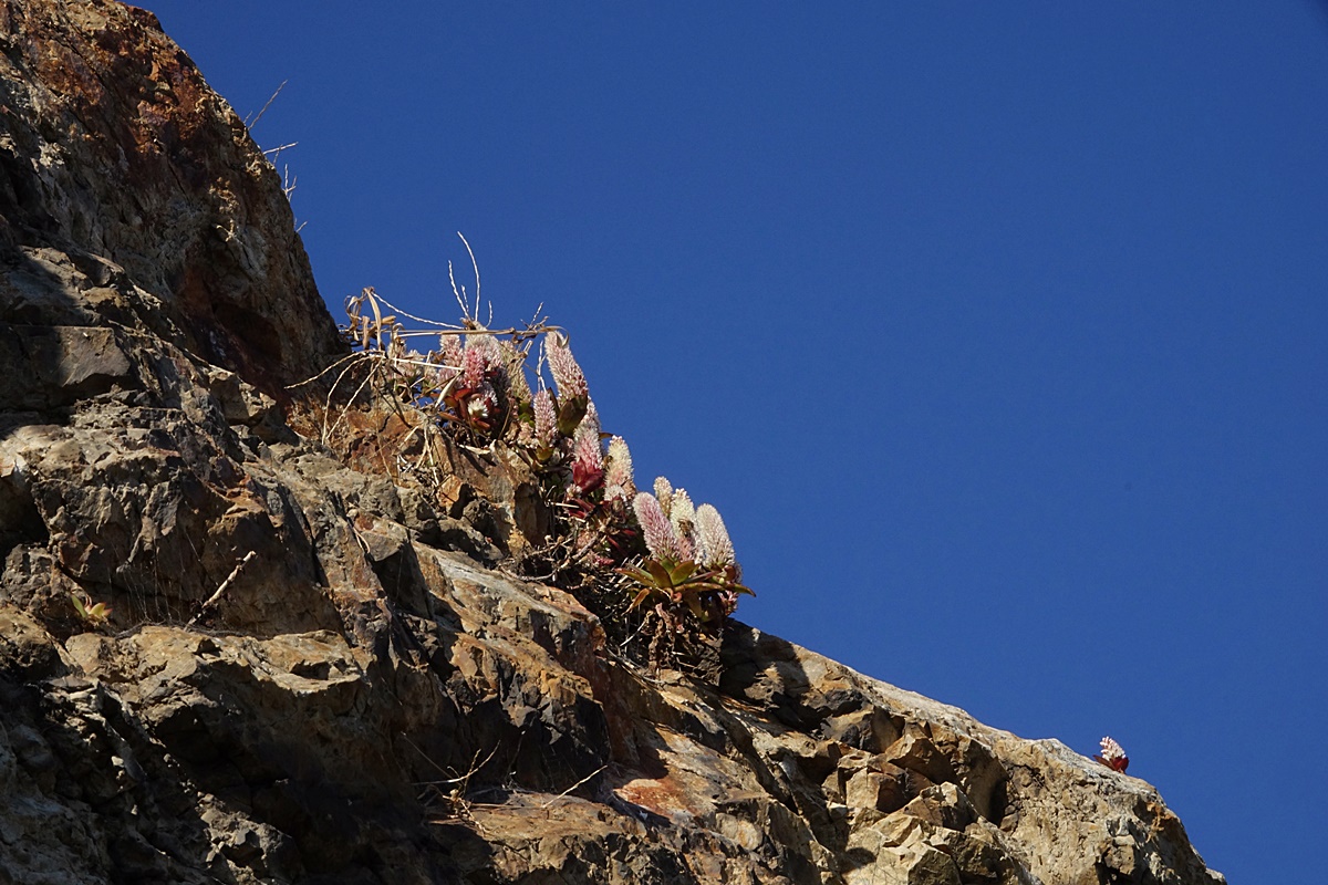 25-11-15 (193)-1.JPG