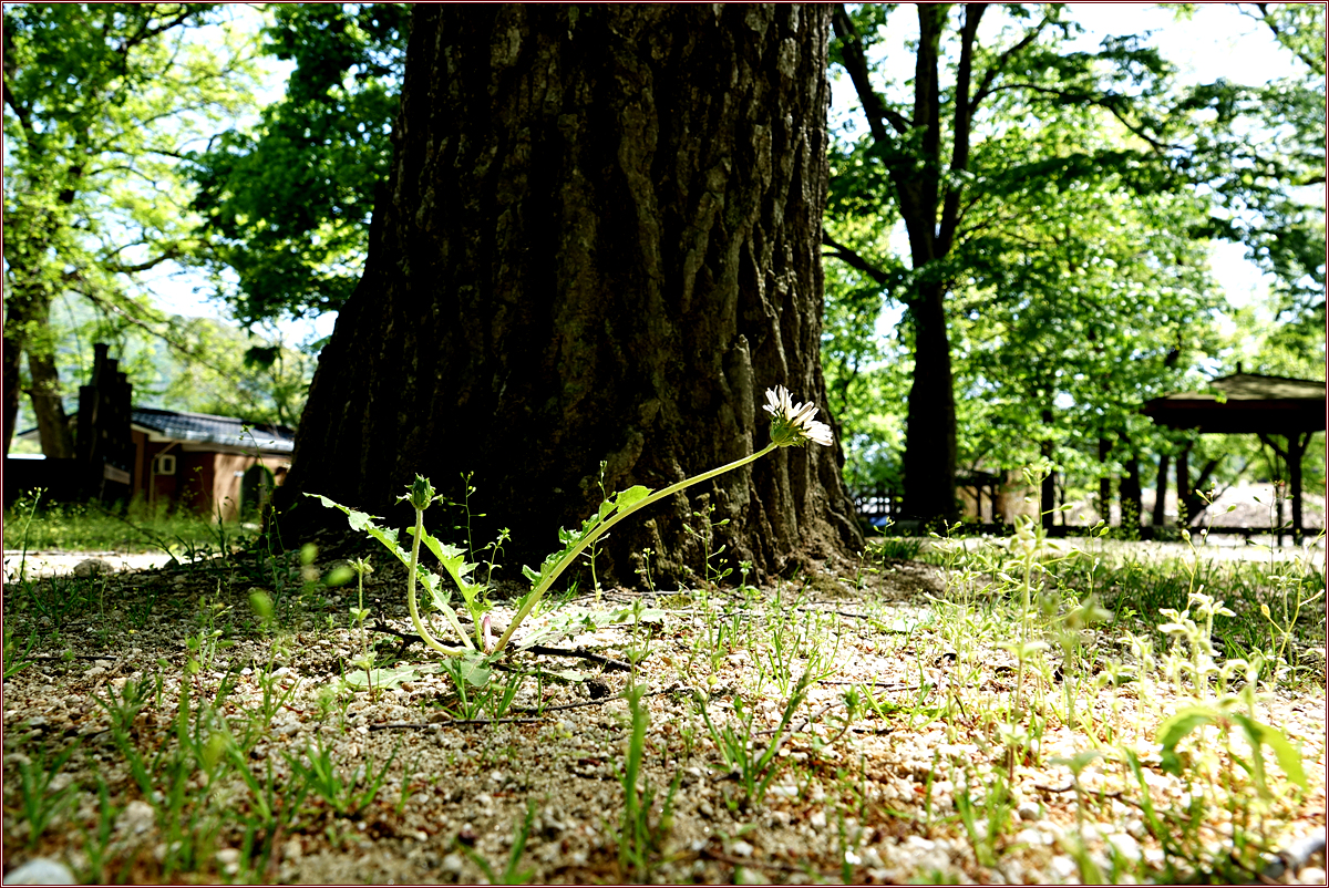 KHS09255.jpg