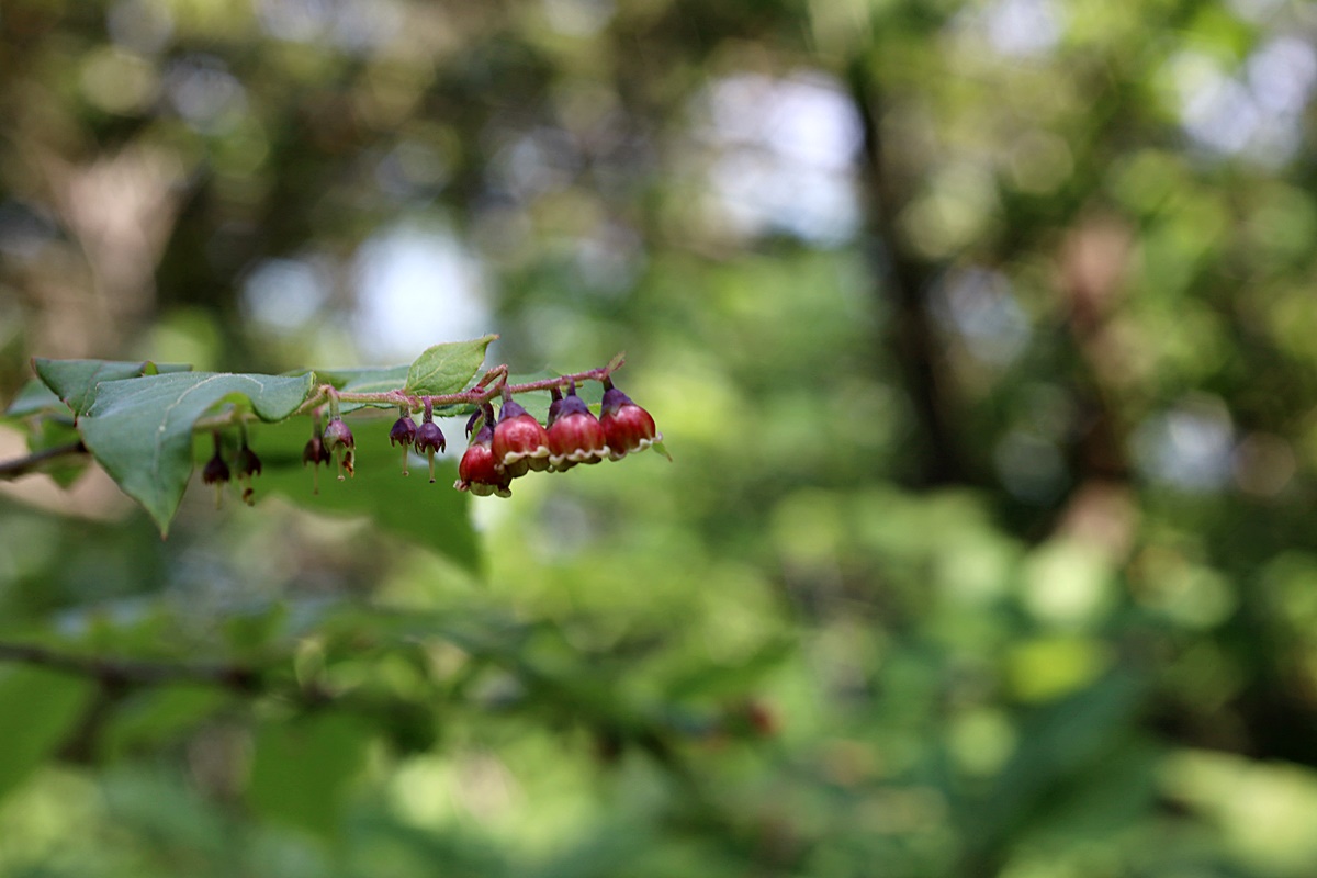 21-05-22 (157)-1.JPG
