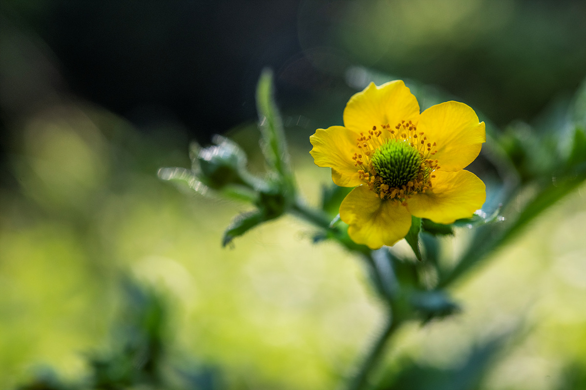 _DSC7750qaaa.jpg