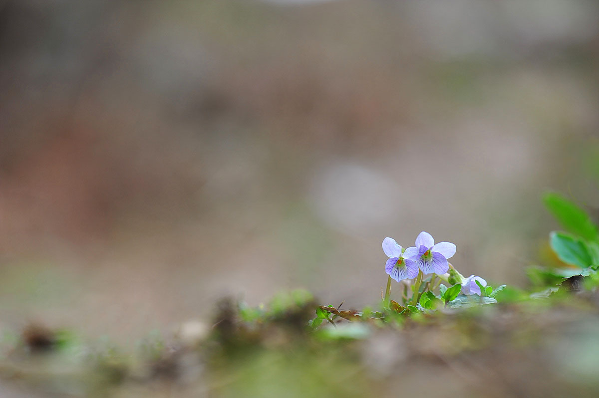 DSC_1202s.jpg