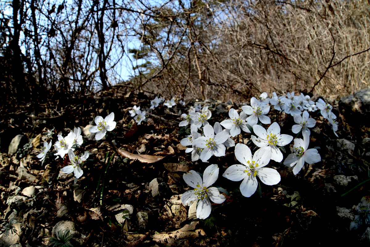 DSC_1120ccc.jpg