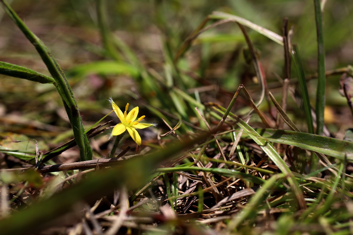 21-05-22 (12)-1.JPG