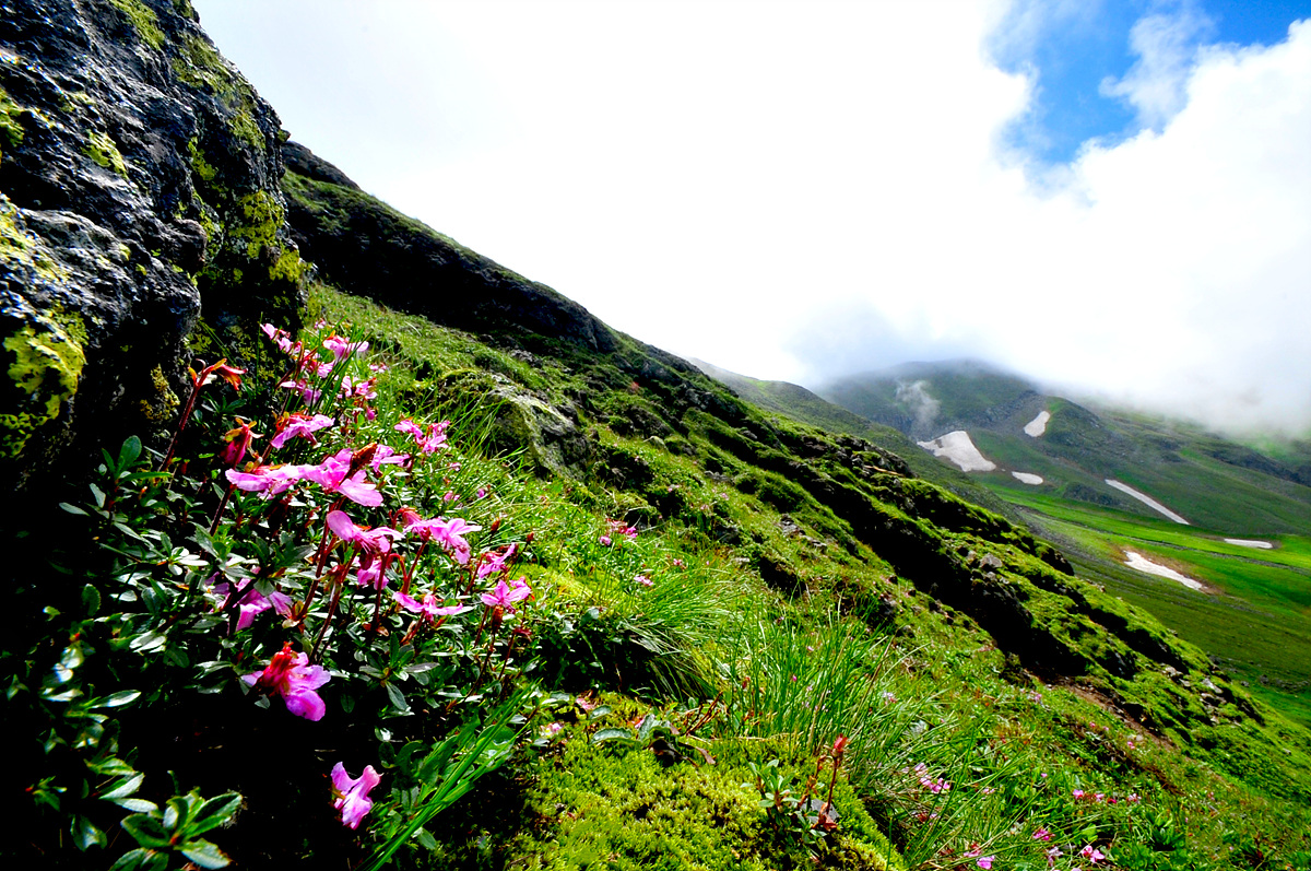 DSC_6418a.jpg