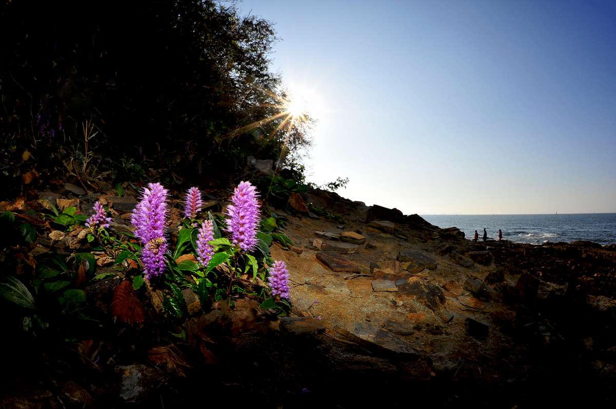 DSC_3637cc.jpg
