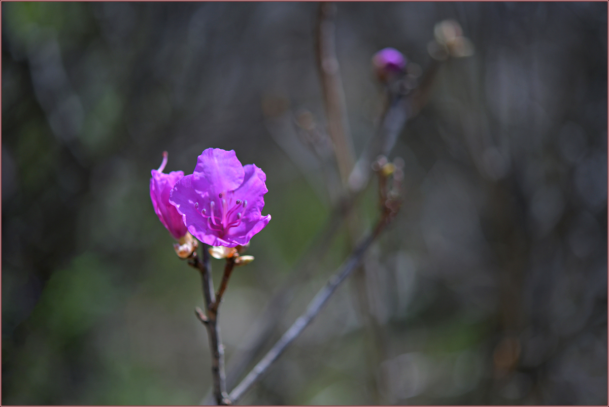 DSC_8810.jpg